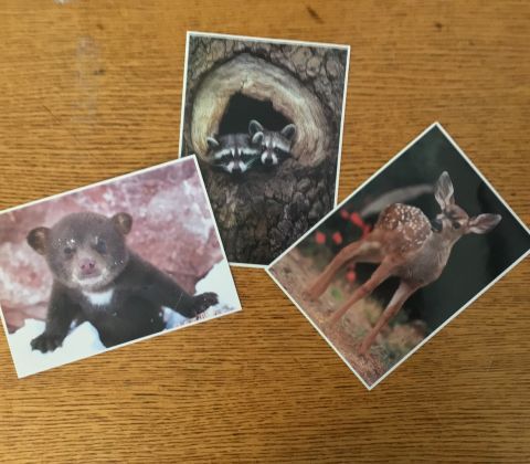 post cards   3   